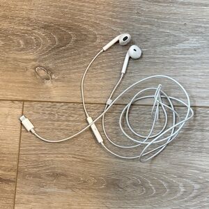 Apple headphones